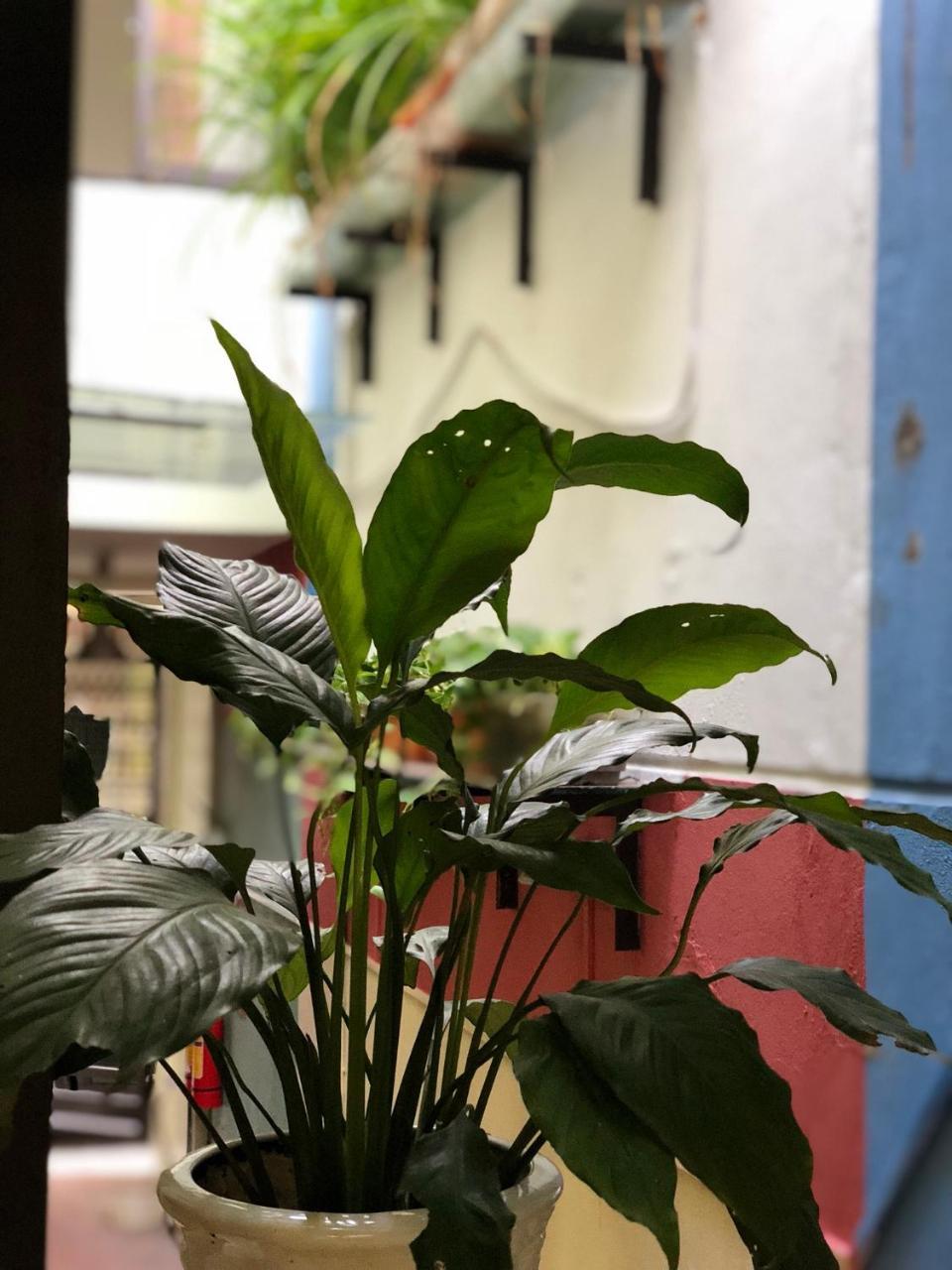 Ventana House Apartamento Hai Phong Exterior foto