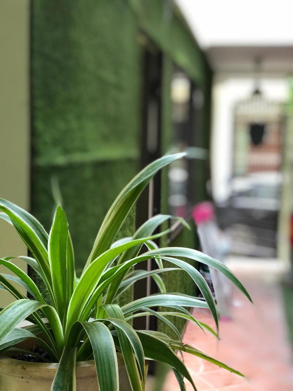 Ventana House Apartamento Hai Phong Exterior foto